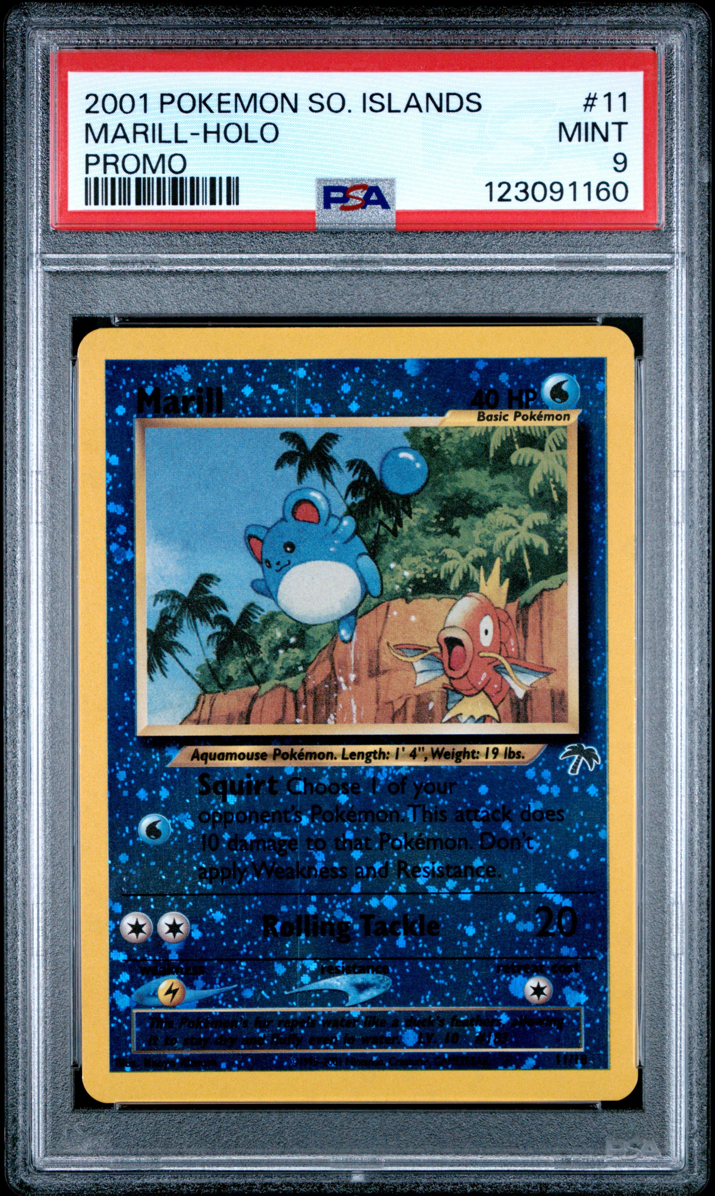 Marill Holo 11/18 Southern Islands Promo Pokemon PSA 9