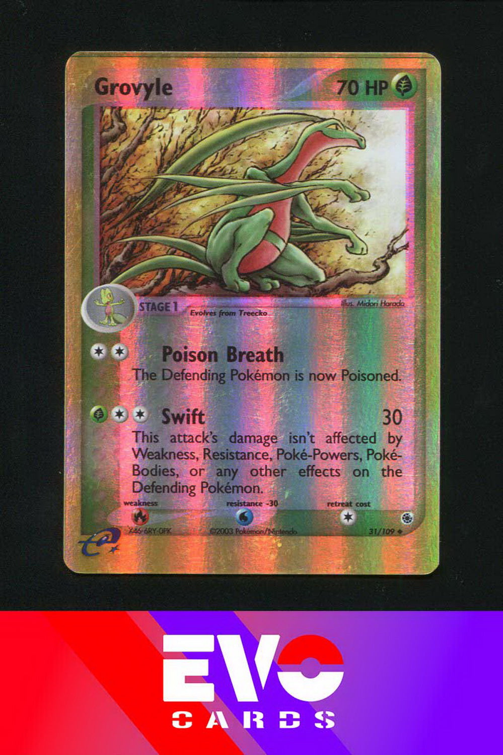 Grovyle 31/109 - ex Ruby & Sapphire - Reverse holo - Excellent