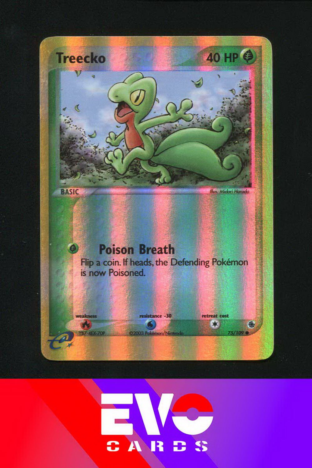 Treecko 75/109 - ex Ruby & Sapphire - Reverse holo - Excellent