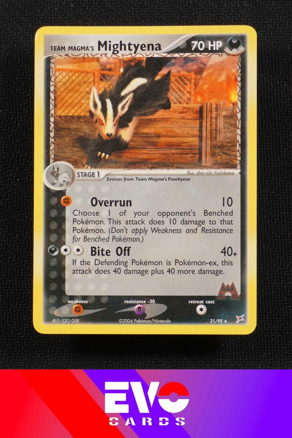 Mightyena 21/95 - ex Team Magma vs Team Aqua - Near Mint