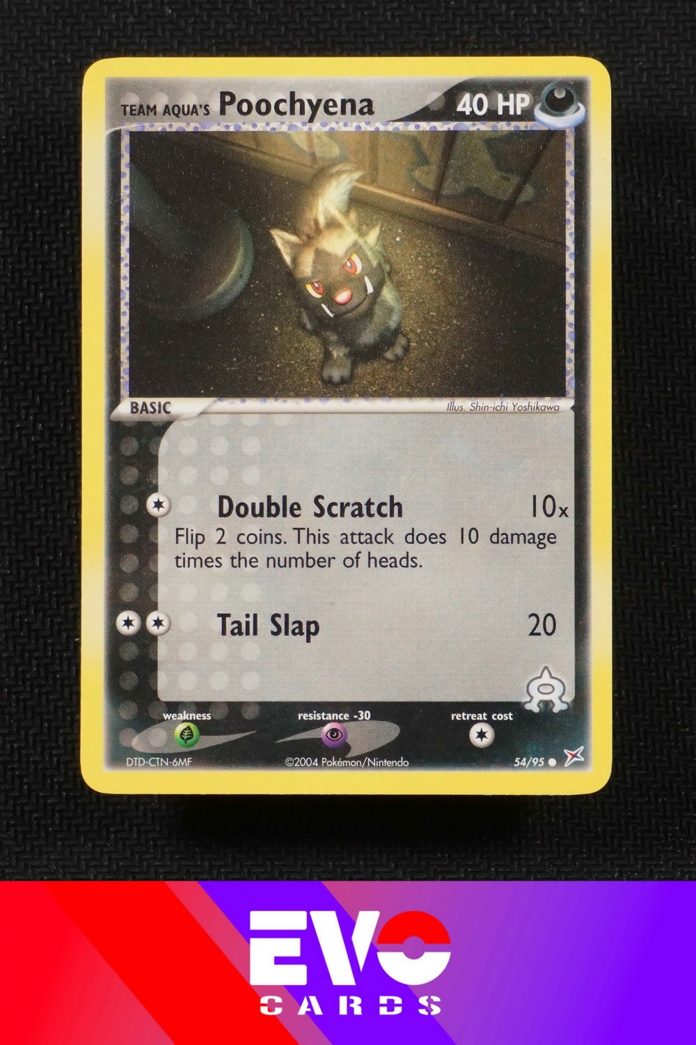 Poochyena 54/95 - ex Team Magma vs Team Aqua - Near Mint