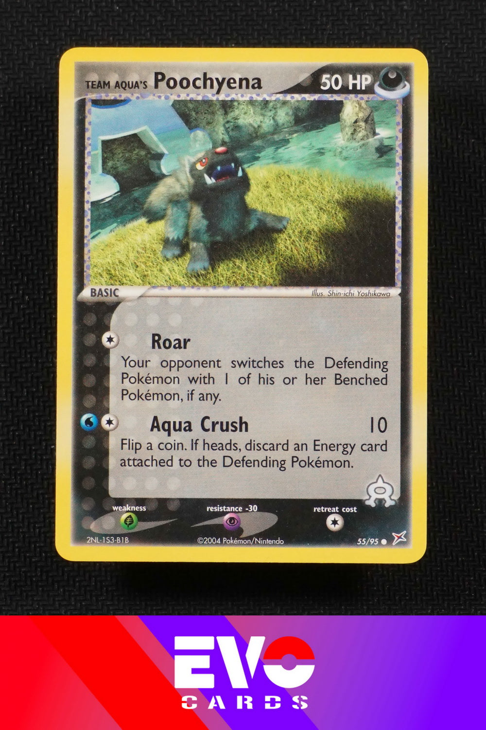 Poochyena 55/95 - ex Team Magma vs Team Aqua - Near Mint