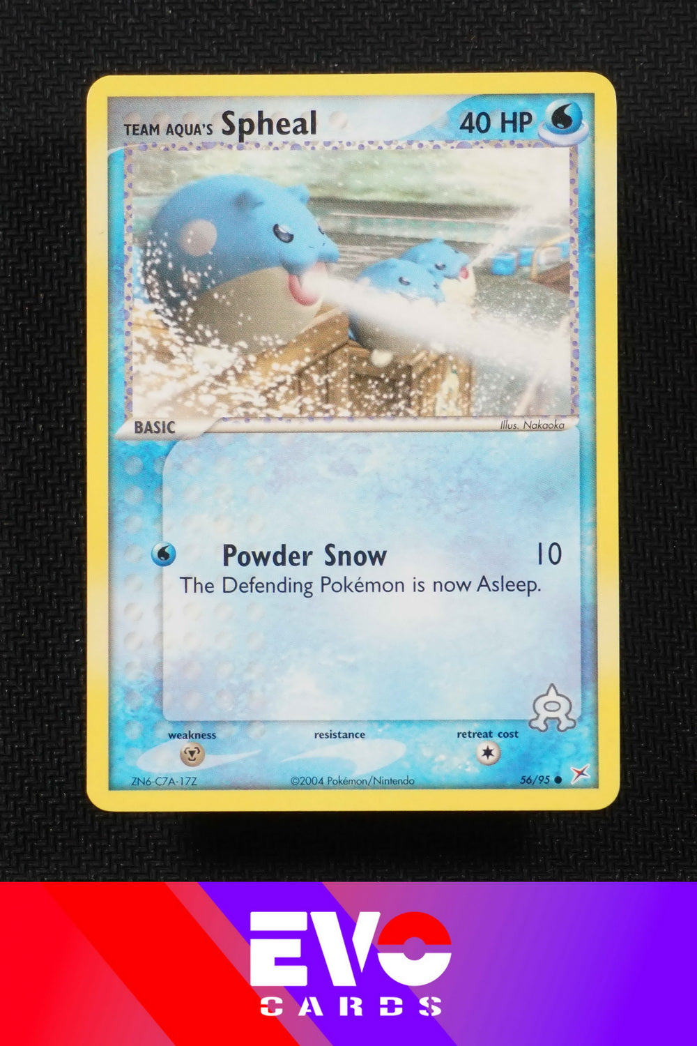 Spheal 56/95 - ex Team Magma vs Team Aqua - Near Mint