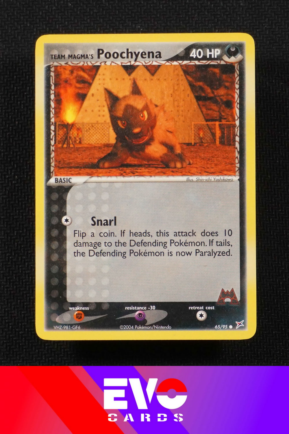 Poochyena 65/95 - ex Team Magma vs Team Aqua - Near Mint