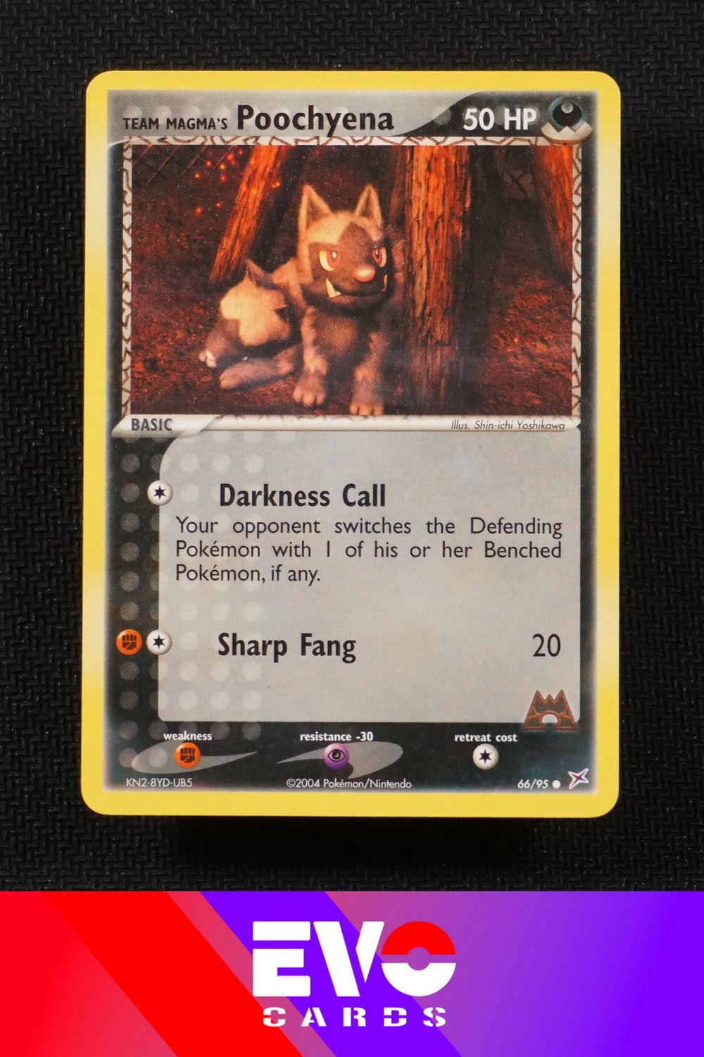 Poochyena 66/95 - ex Team Magma vs Team Aqua - Near Mint