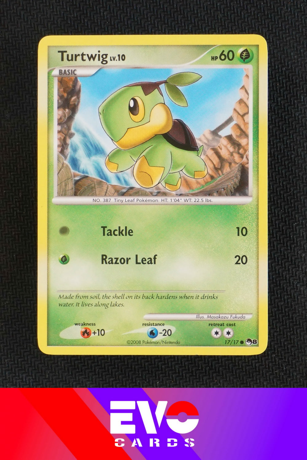 Turtwig 17/17 - Pop Series 8