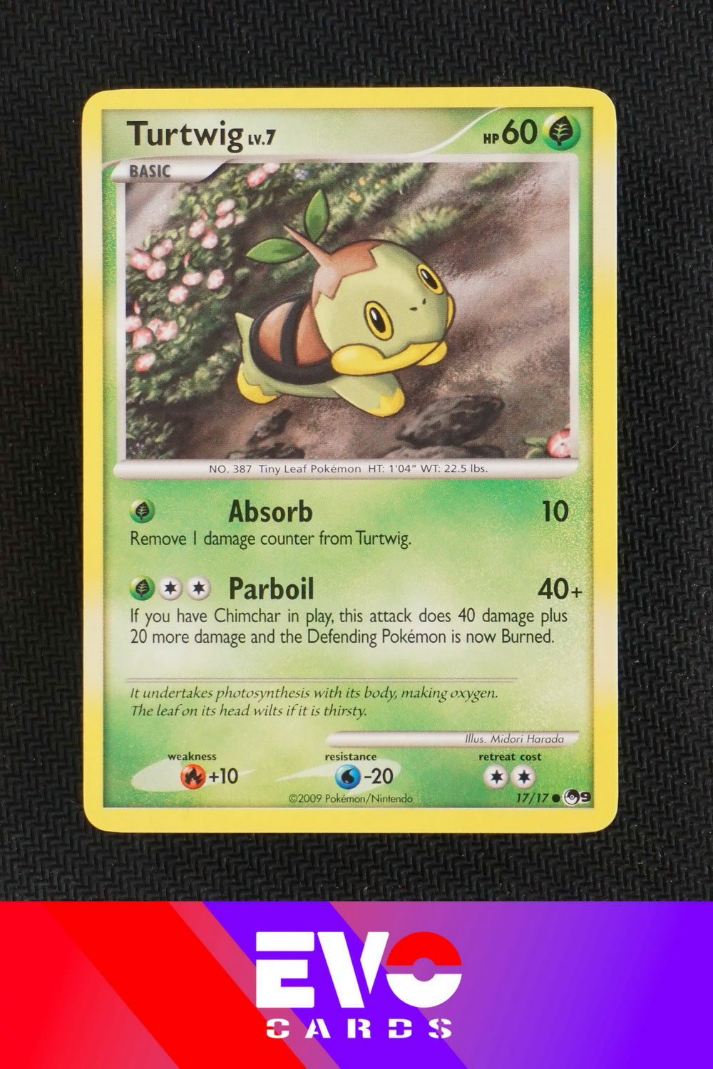 Turtwig 17/17 - Pop Series 9 - Excellent