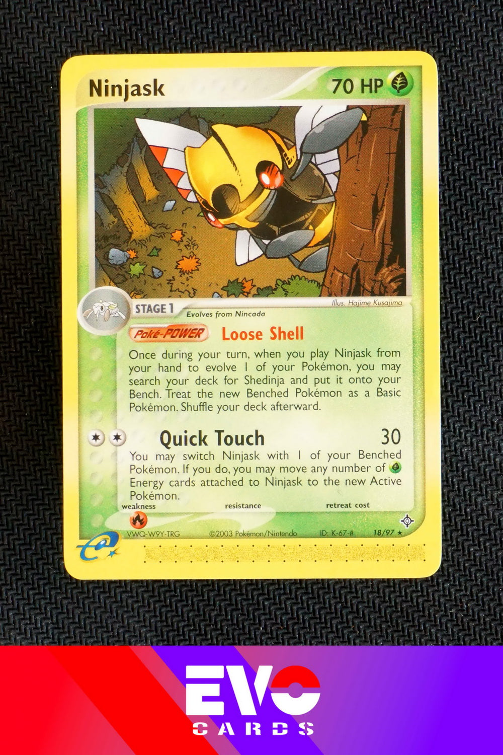 Ninjask 18/97 - ex Dragon - Near Mint