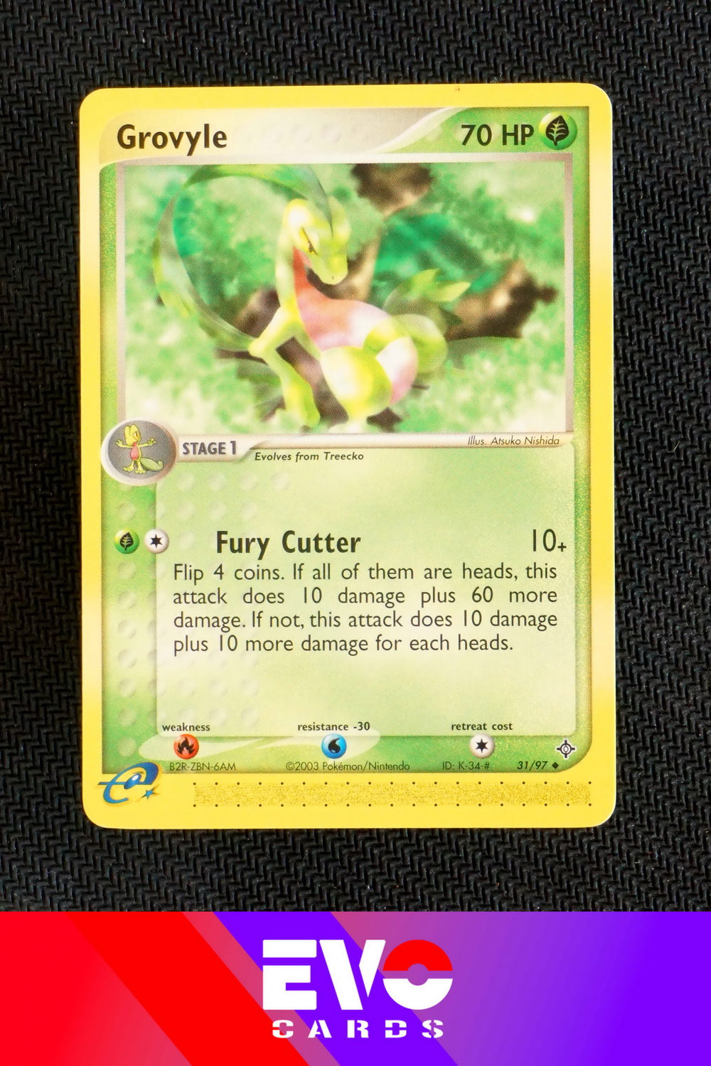 Grovyle 31/97 - ex Dragon - Near Mint