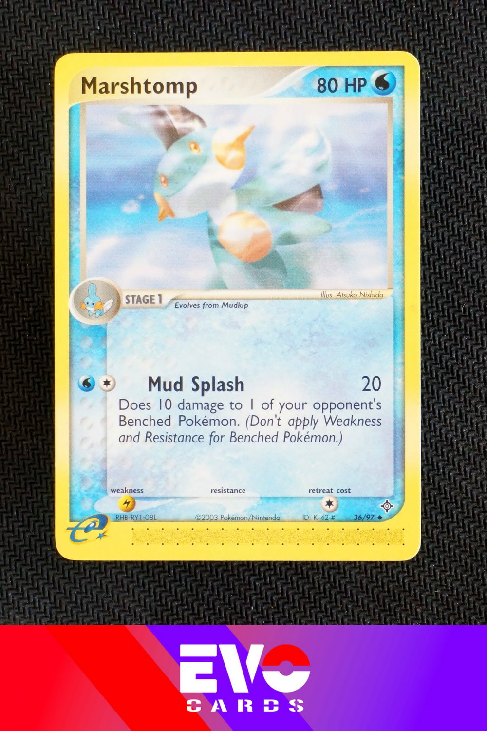 Marshtomp 36/97 - ex Dragon - Near Mint