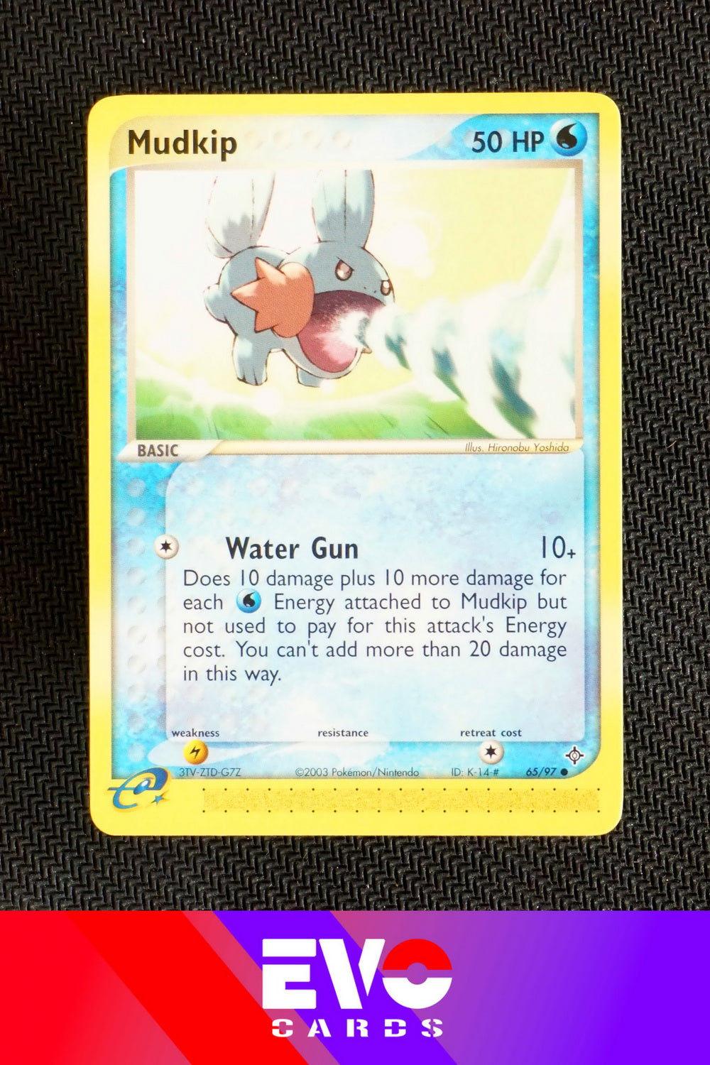 Mudkip 65/97 - ex Dragon - Near Mint Mudkip 65/97 - ex Dragon - Near Mint
