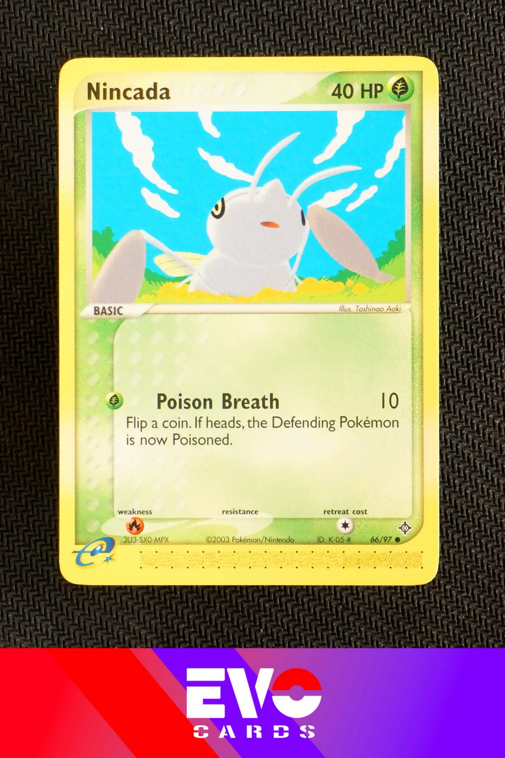 Nincada 66/97 - ex Dragon - Near Mint