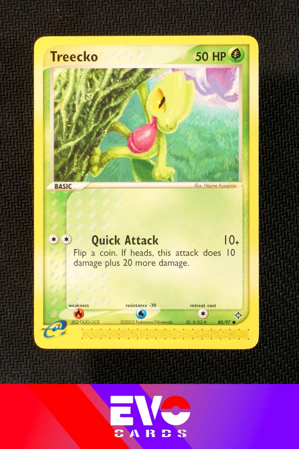 Treecko 80/97 - ex Dragon - Near Mint