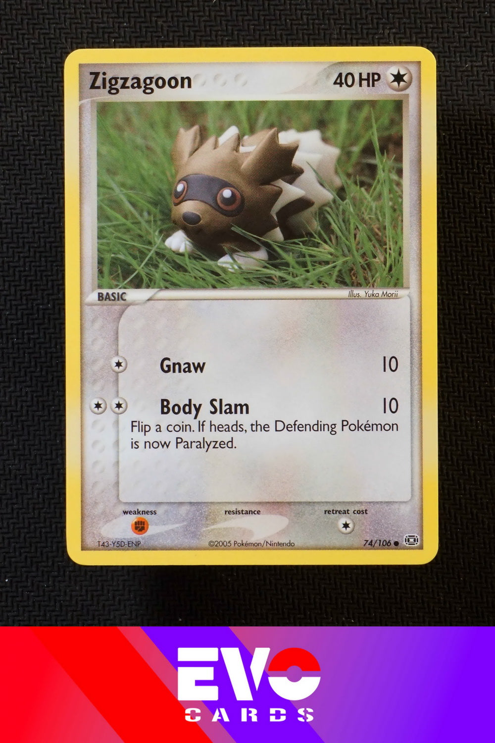 zigzagoon pokemon card Zigzagoon 74/106 - ex Emerald
