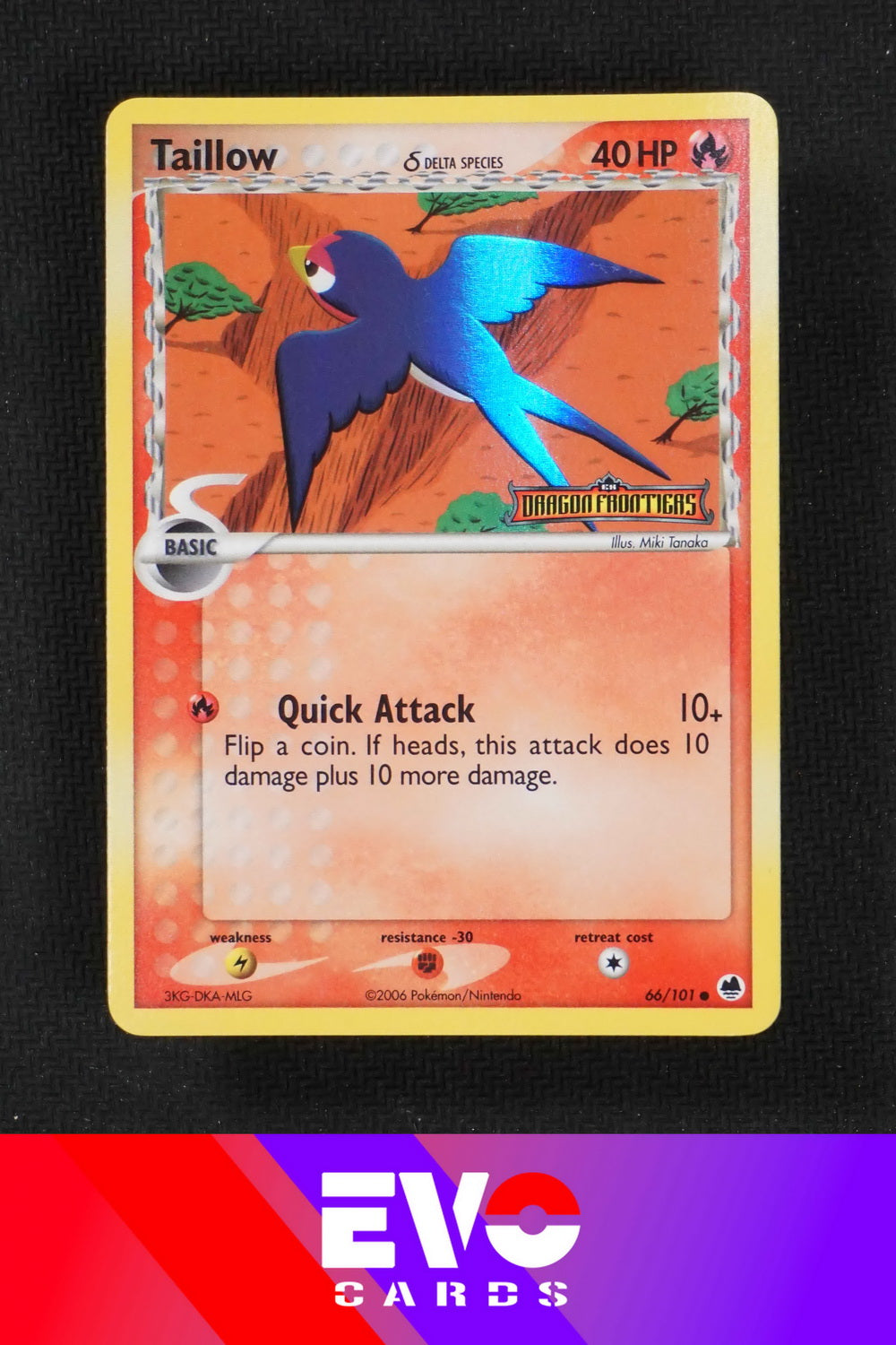 Taillow 66/101 - ex Dragon Frontiers - Reverse Holo - Excellent