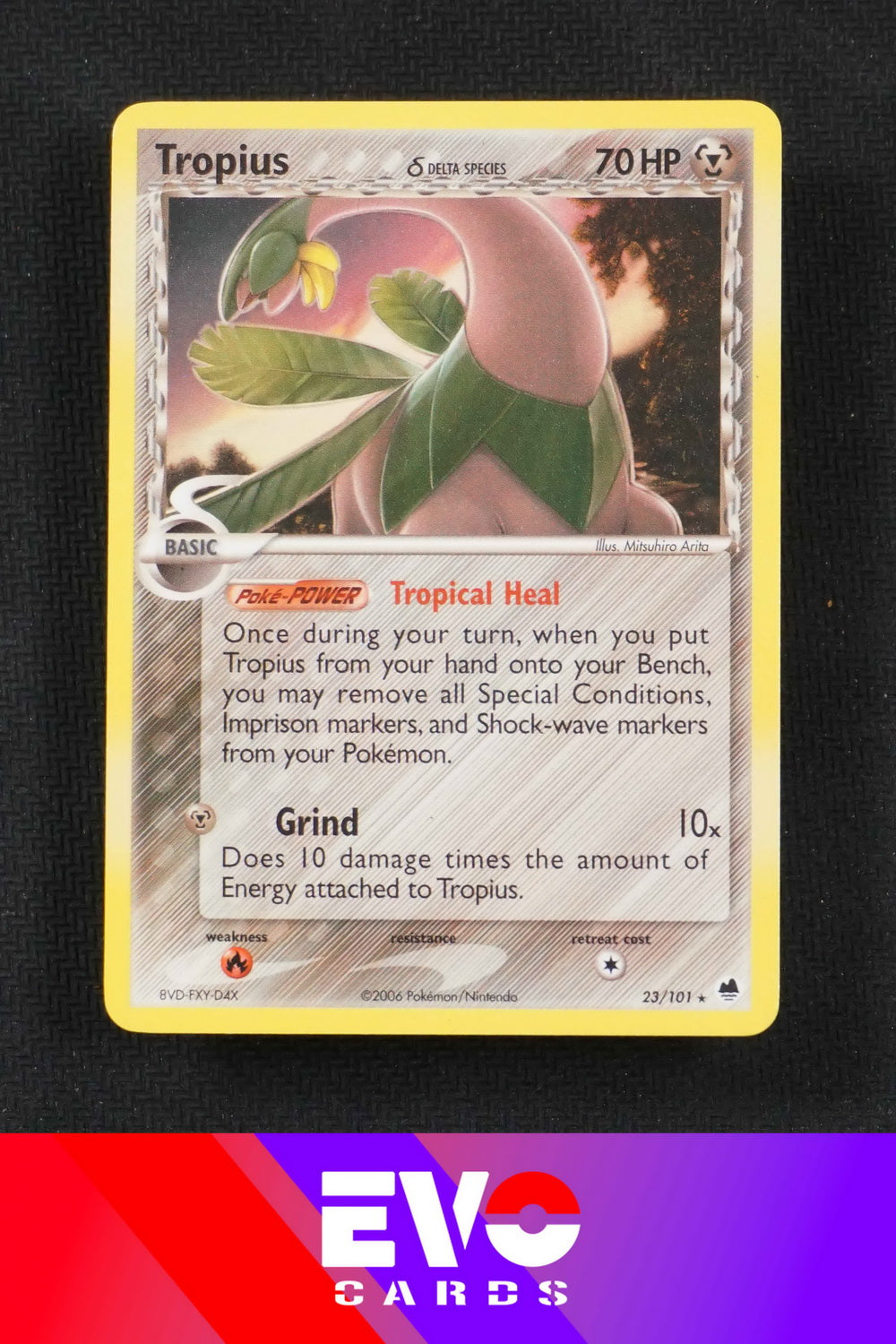 Tropius 23/101 - ex Dragon Frontiers - Near Mint Tropius 23/101 - ex Dragon Frontiers - Near Mint