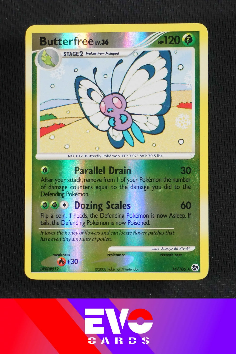 Butterfree 14/106 - Great encounters - Reverse Holo - Excellent
