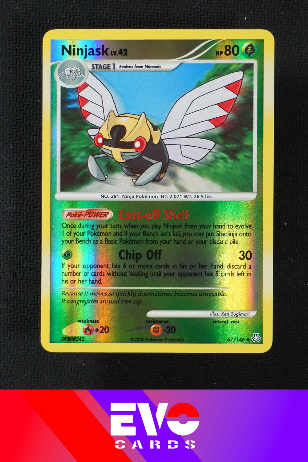 Ninjask 67/146 - Legends Awakened - Reverse Holo - Near Mint