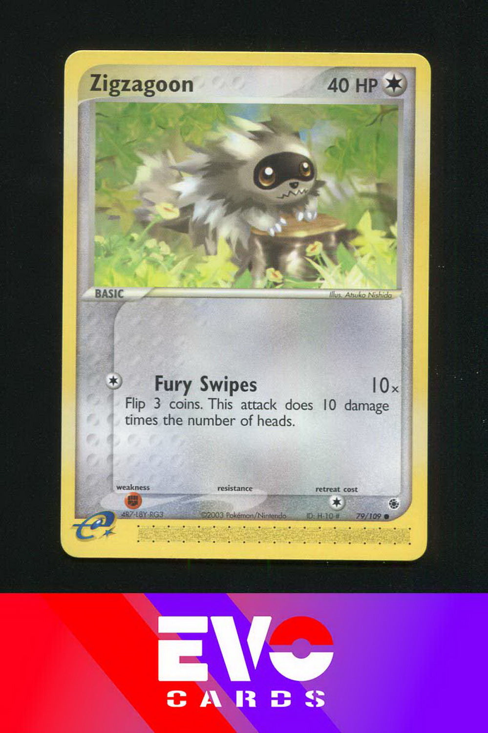 Zigzagoon 79/109 - ex Ruby & Sapphire - Near Mint Zigzagoon 79/109 - ex Ruby & Sapphire - Near Mint