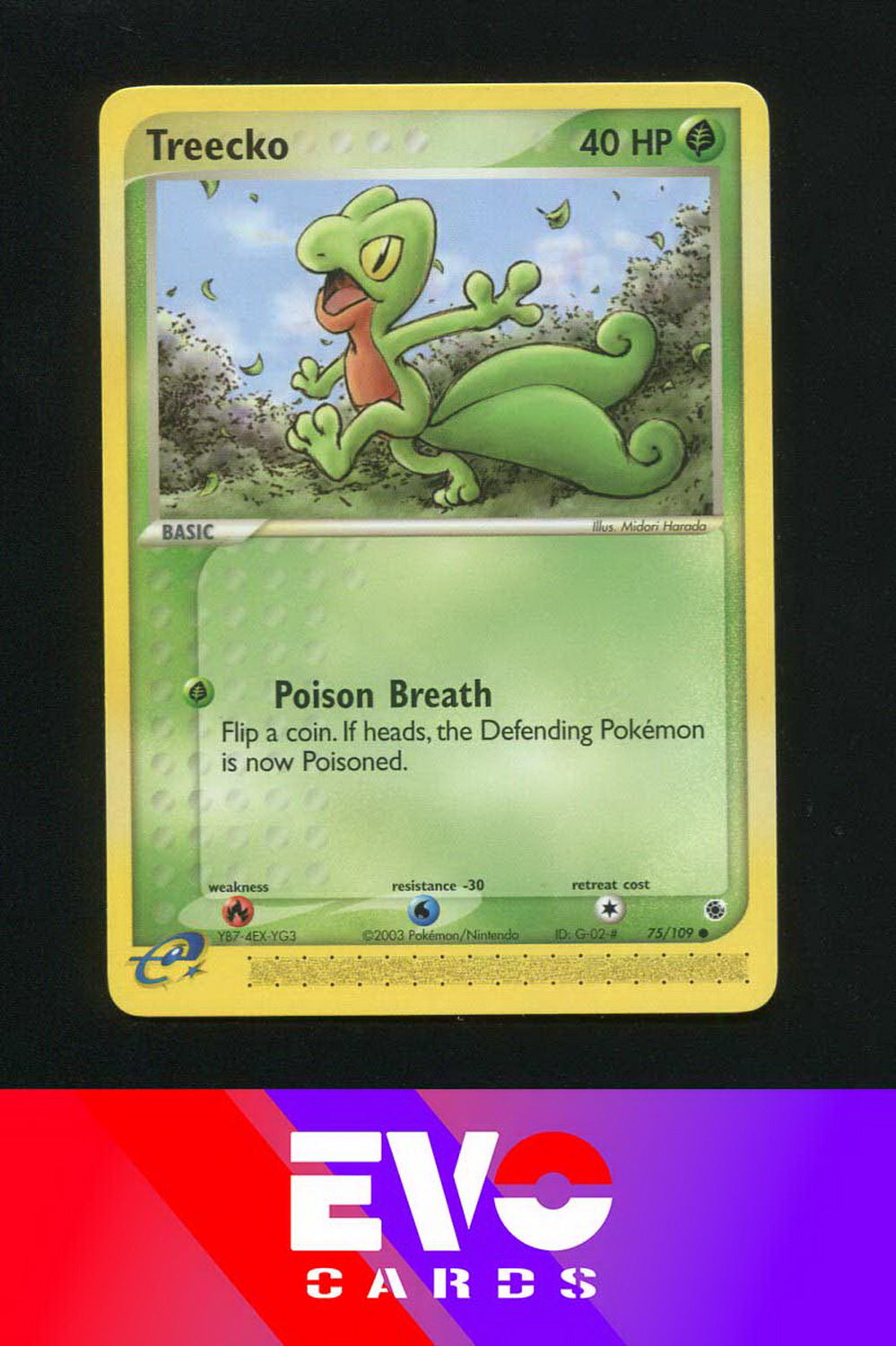 Treecko 75/109 - ex Ruby & Sapphire - Near Mint Treecko 75/109 - ex Ruby & Sapphire - Near Mint