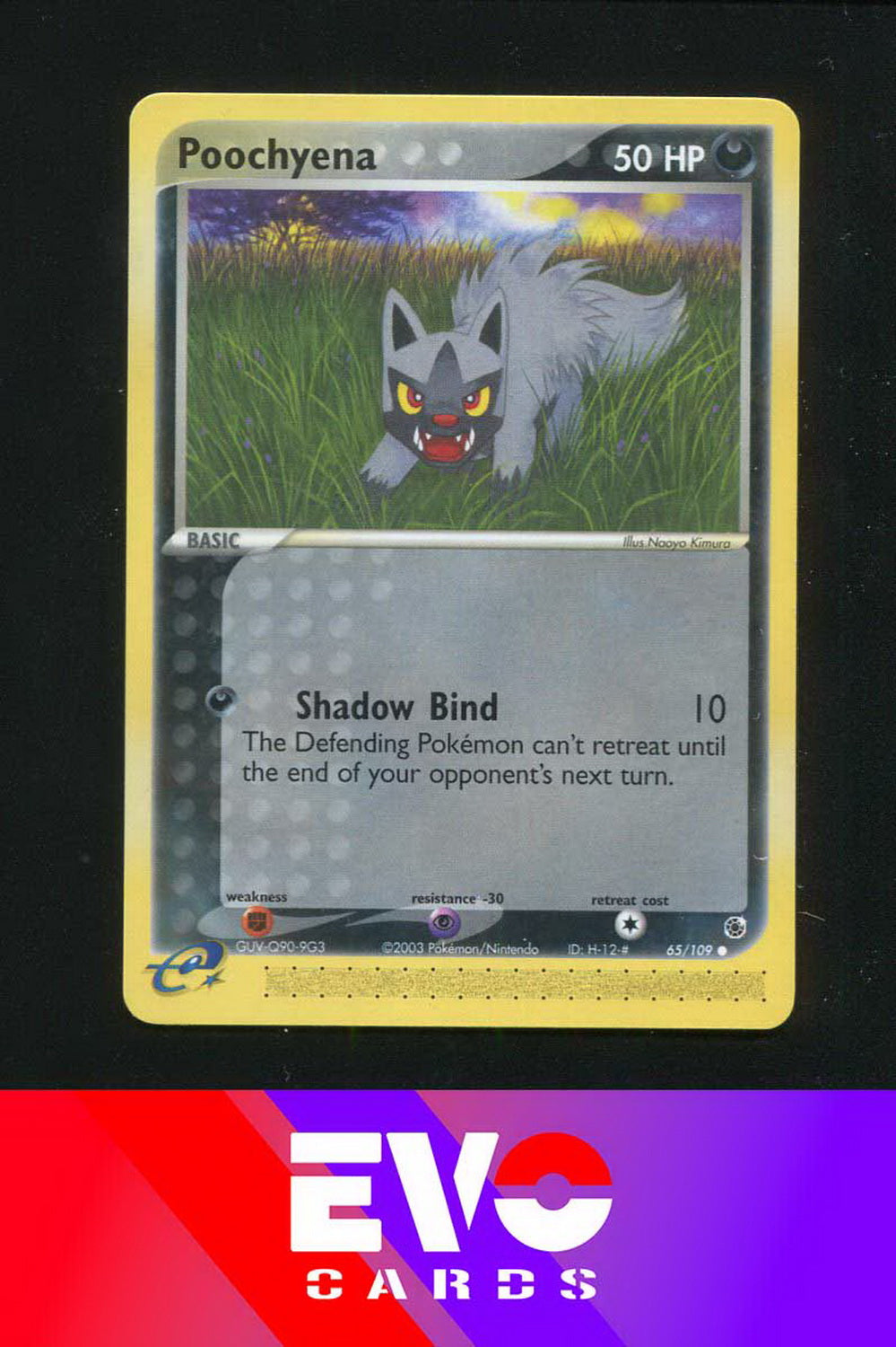 Poochyena 65/109 - ex Ruby & Sapphire - Near Mint