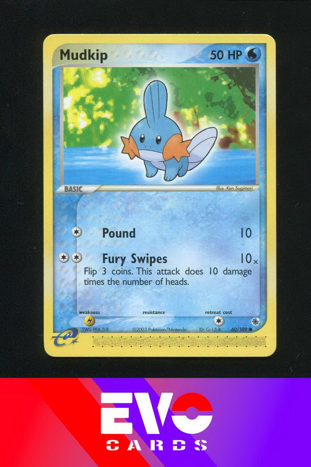 Mudkip 60/109 - ex Ruby & Sapphire - Near Mint