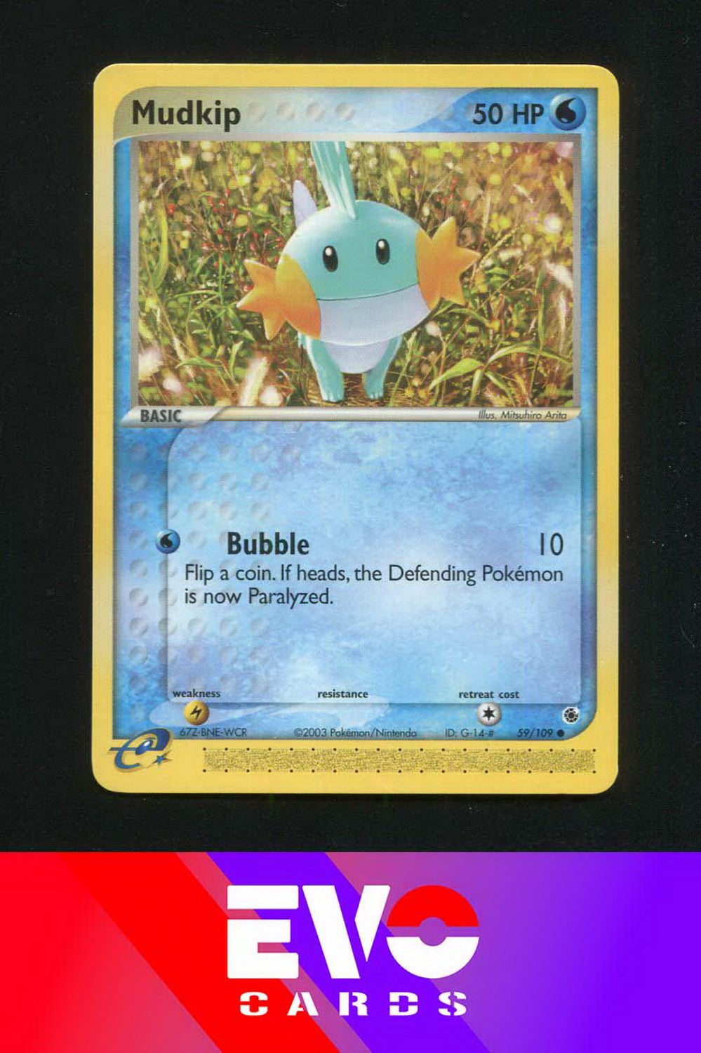 Mudkip 59/109 - ex Ruby & Sapphire - Near Mint