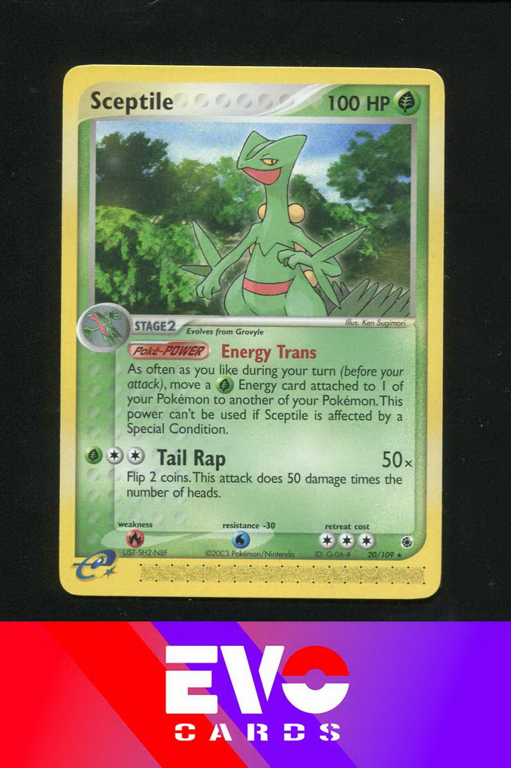 Sceptile 20/109 - ex Ruby & Sapphire - Near Mint