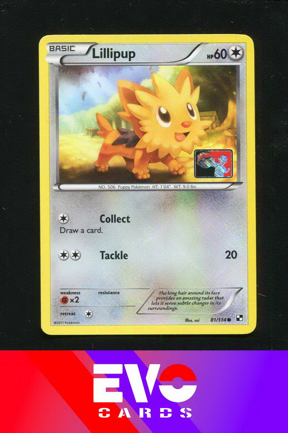 pokemon lillipup card Lillipup 81/114 - League Promo