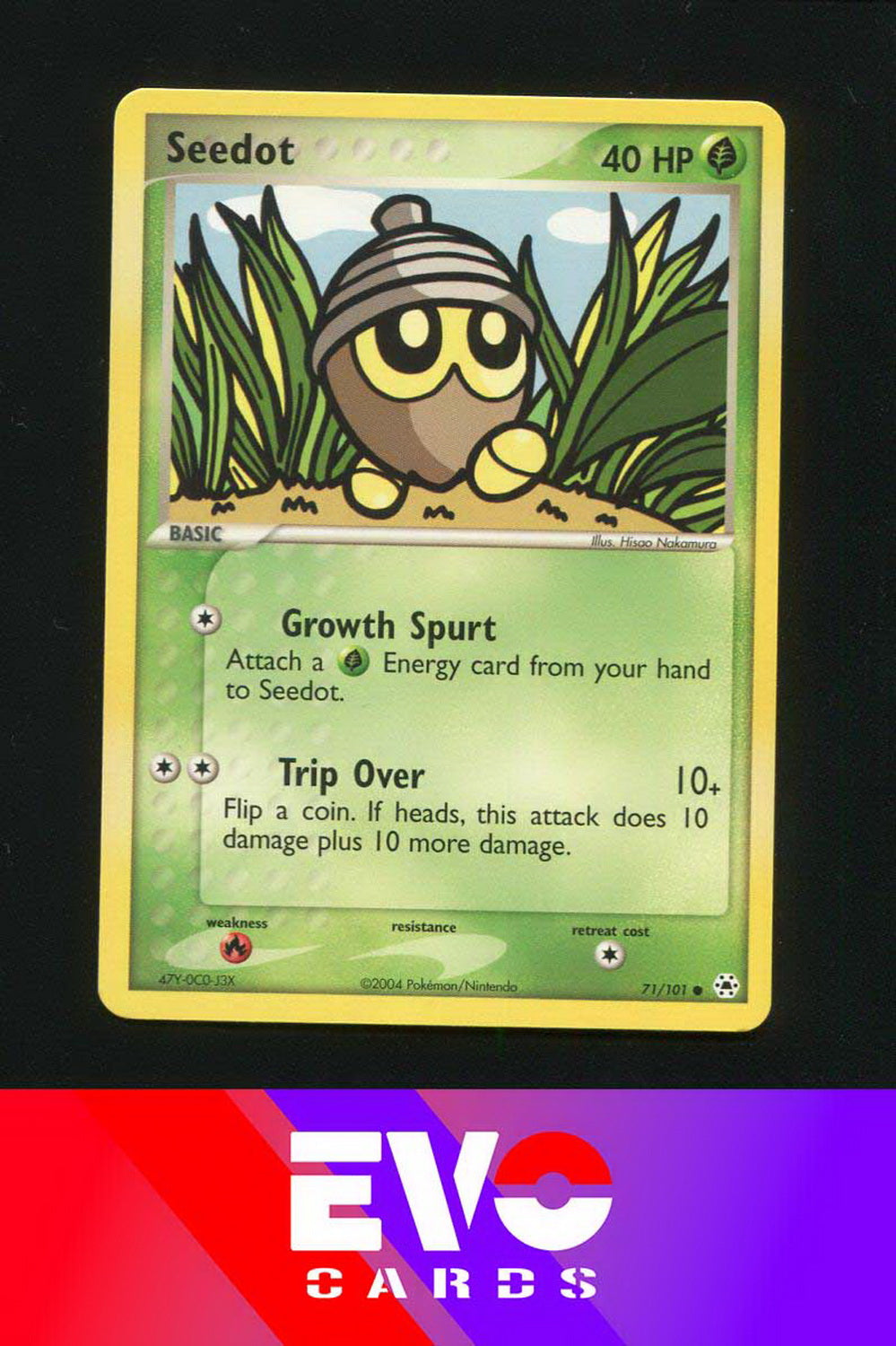 Seedot 71/101 - Ex Hidden Legends - Near Mint