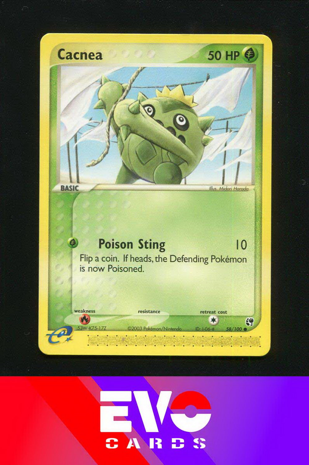 Cacnea 58/100 - ex Sandstorm - Excellent
