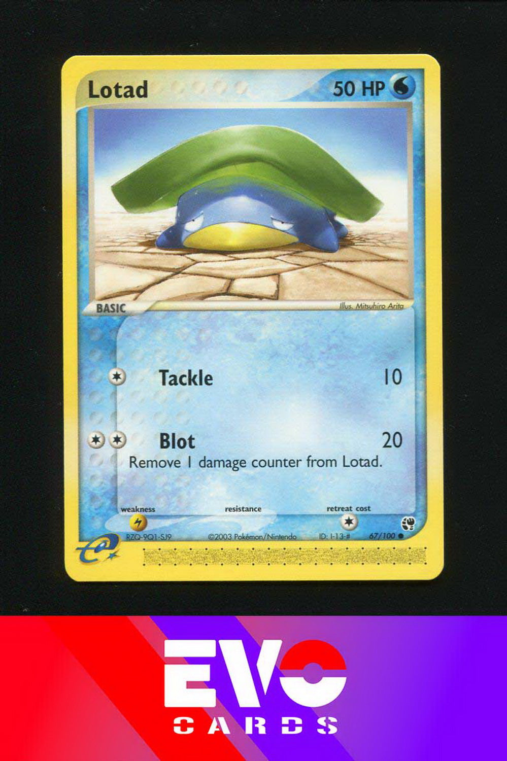 Lotad 67/100 - ex Sandstorm - Near Mint