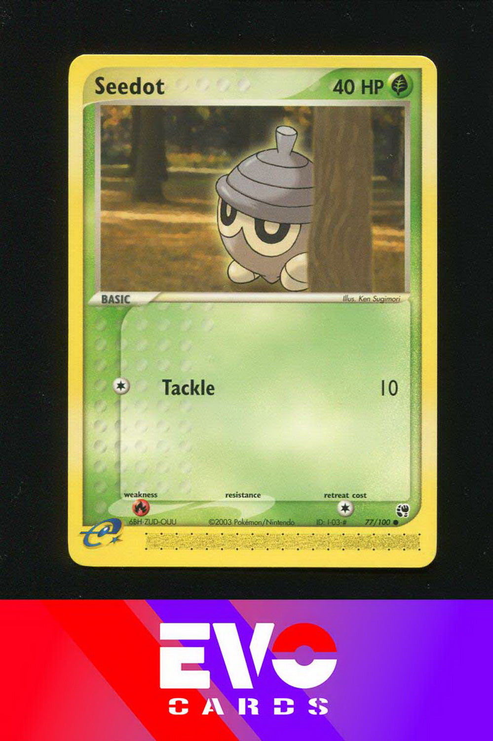 Seedot 77/100 - ex Sandstorm - Near Mint