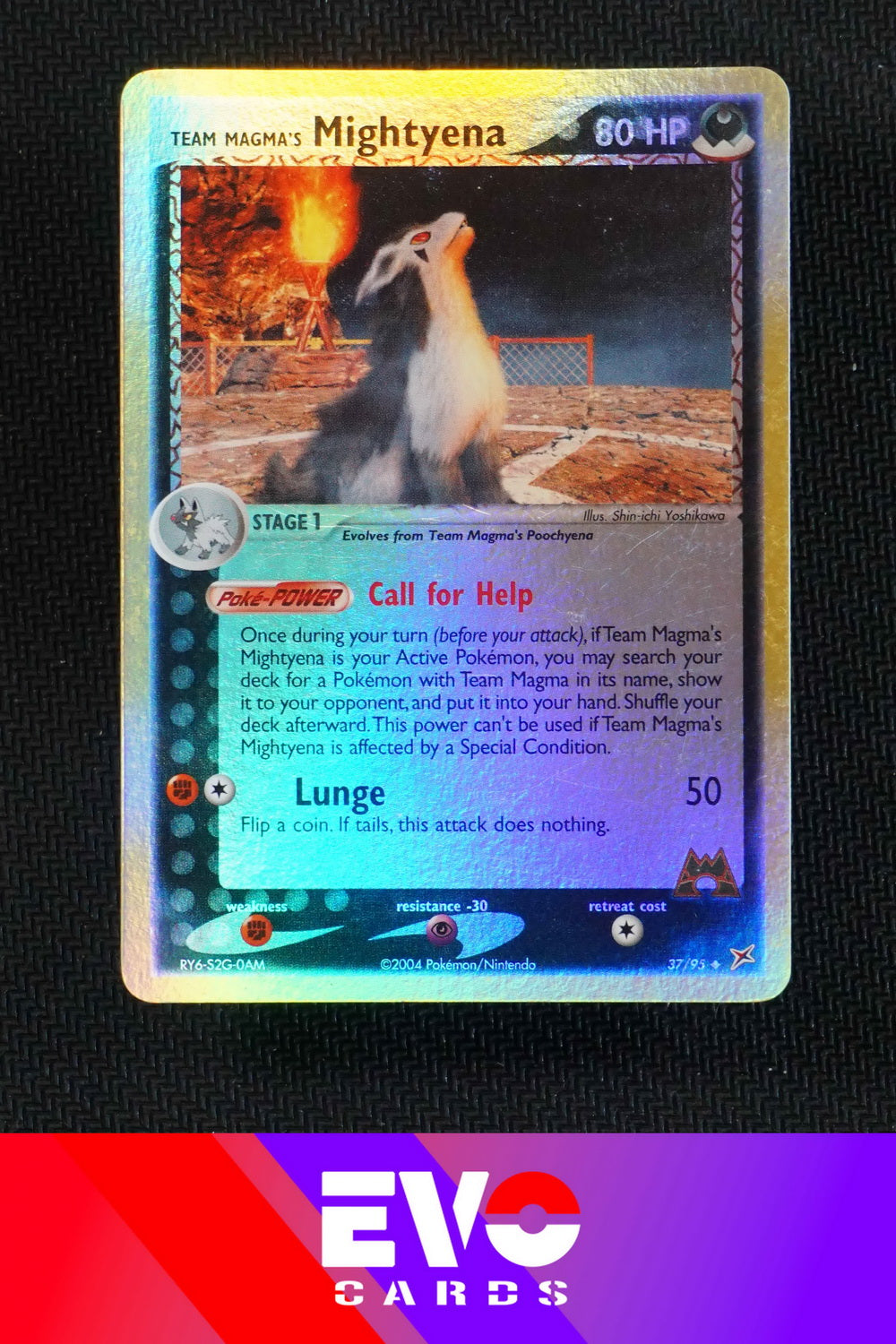 Mightyena 37/95 - ex Team Magma vs Team Aqua - Reverse Holo - Excellent