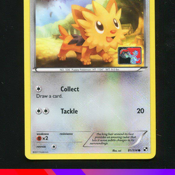Lillipup 81/114 - League Promo